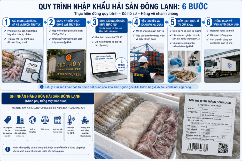 THỦ TỤC NHẬP KHẨU THỦY HẢI SẢN ĐÔNG LẠNH: QUY TRÌNH ĐẦY ĐỦ TỪ A-Z
