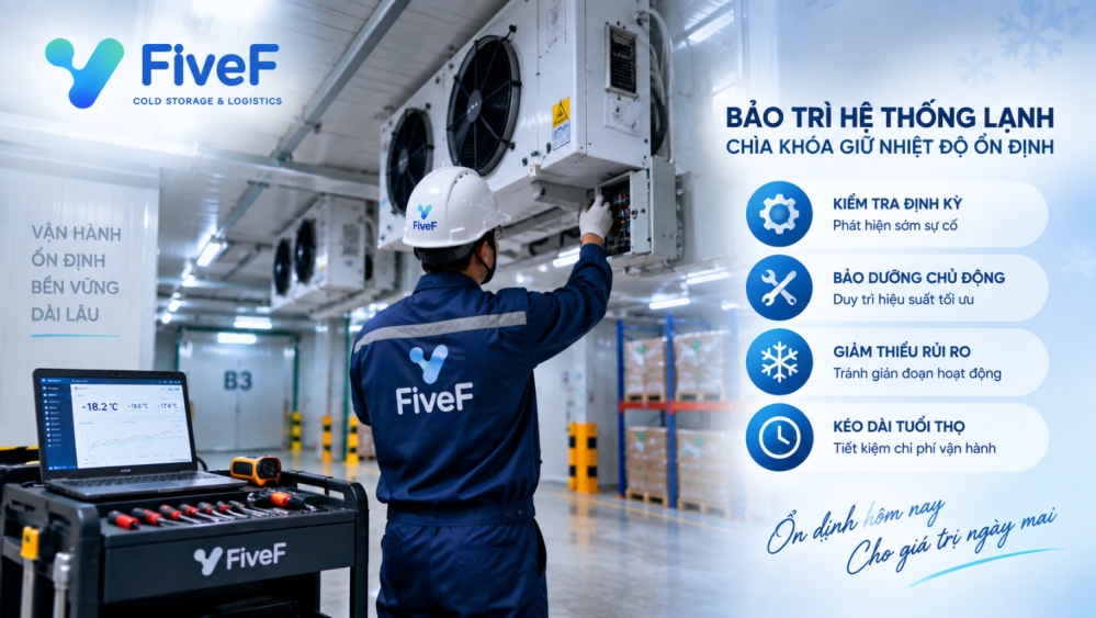 Bảo trì hệ thống lạnh công nghiệp: Tần suất và hạng mục cần kiểm tra