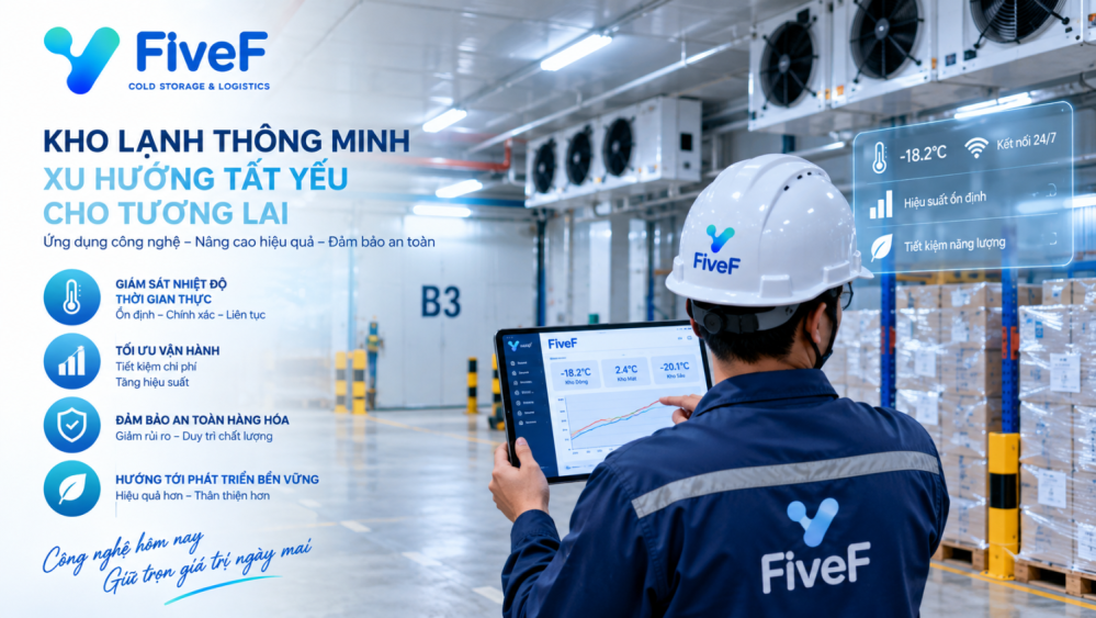 Vận chuyển hàng lạnh bằng đường biển: Container lạnh (Reefer) hoạt động ra sao