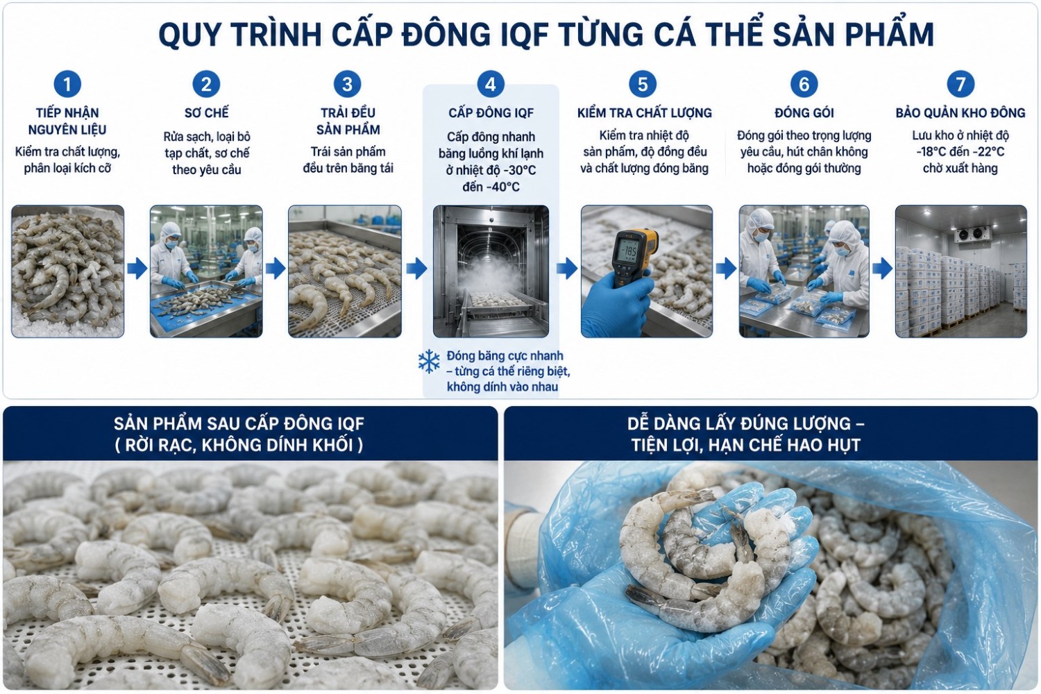 Quy trinh cap dong IQF